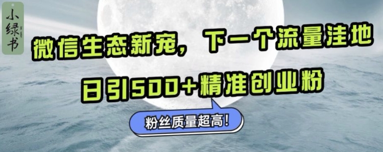 微信生态新宠小绿书：下一个流量洼地，日引500+精准创业粉，粉丝质量超高-梦帆创业网