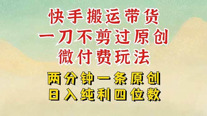 （15577期）快手黑科技搬运带货，一刀不剪过原创，微付费投流玩法，轻松日入四位数…-梦帆创业网
