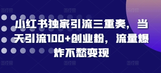 小红书独家引流三重奏，当天引流100+创业粉，流量爆炸不愁变现【揭秘】-梦帆创业网