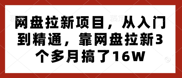 网盘拉新项目，从入门到精通，靠网盘拉新3个多月搞了16W-梦帆创业网