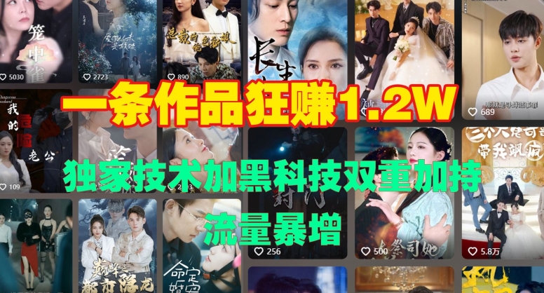 一条作品收益1.2w，独家技术加黑科技双重加持，流量暴增-梦帆创业网