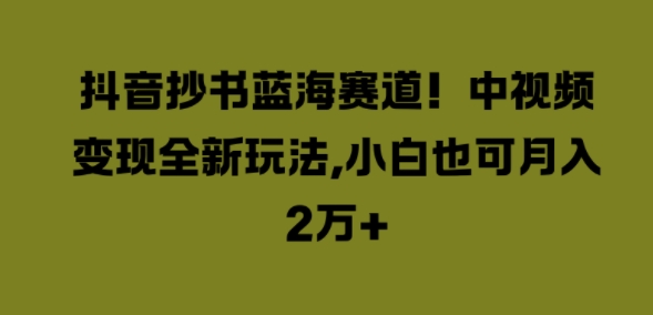 抖音抄书蓝海赛道，中视频变现全新玩法，小白也可月入2W+-梦帆创业网
