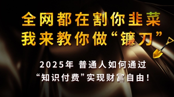 全网都在割你韭菜，我来教你做镰刀，2025普通人如何通过知识付费，实现财F自由【揭秘】-梦帆创业网