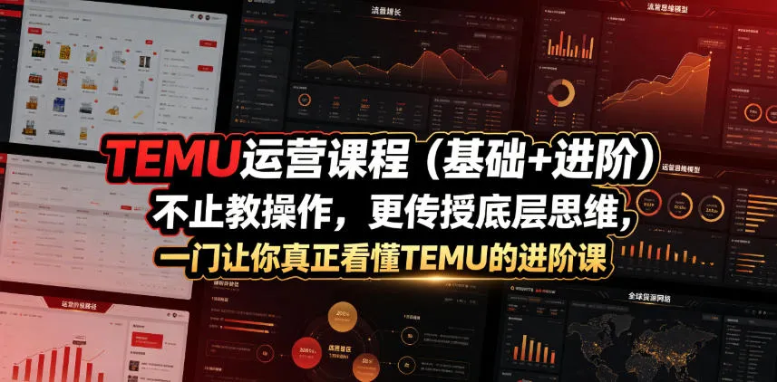 TEMU运营课程（基础+进阶），不止教操作，更传授底层思维，一门让你真正看懂TEMU的进阶课-梦帆创业网